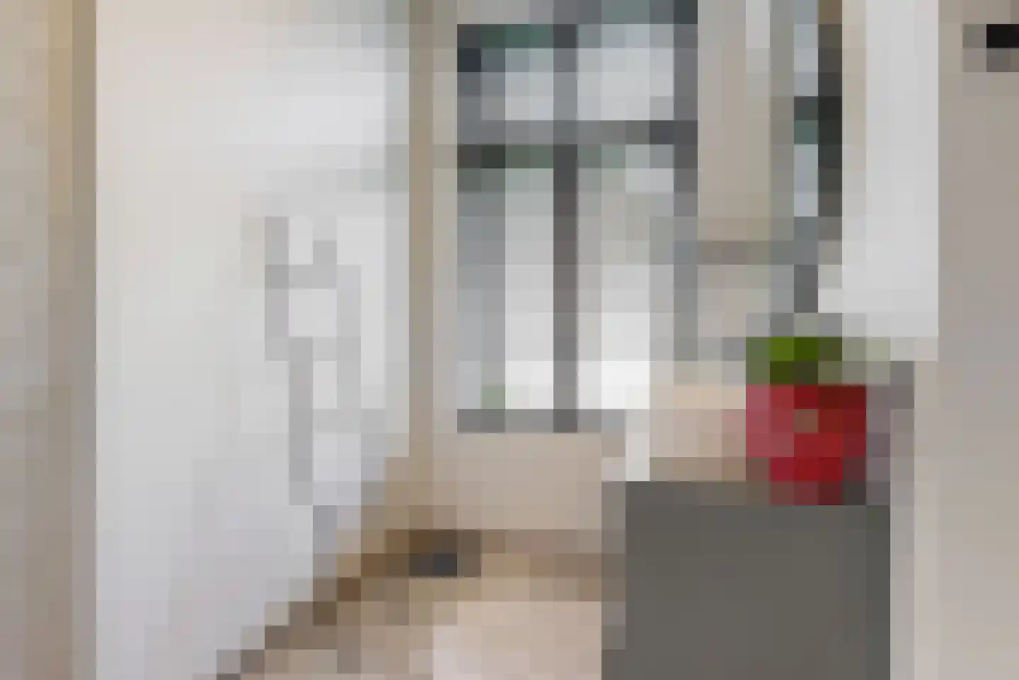 Zacharias Jansestraat 58 Amsterdam thumbnail 20
