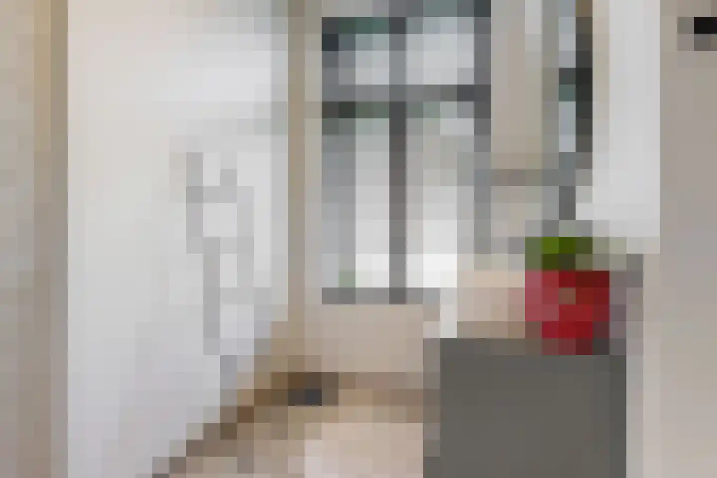 Zacharias Jansestraat 58 Amsterdam thumbnail 20