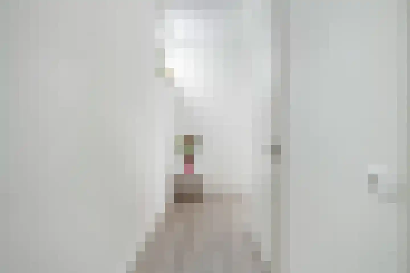 Zachariassteeg 1 Woerden thumbnail 11