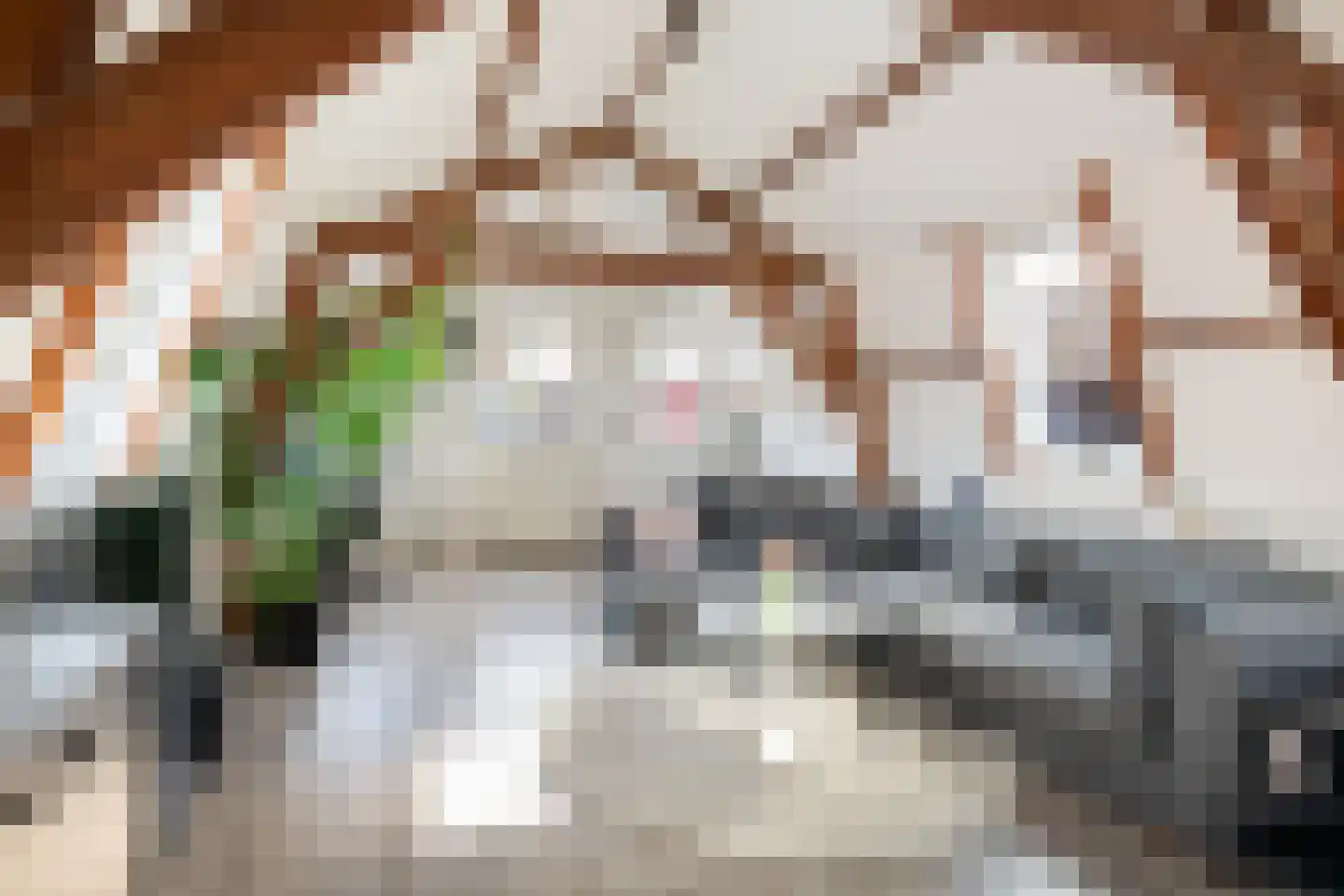 Zachariassteeg 3 Woerden thumbnail 12