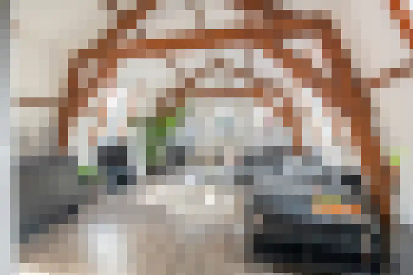 Zachariassteeg 3 Woerden thumbnail 13