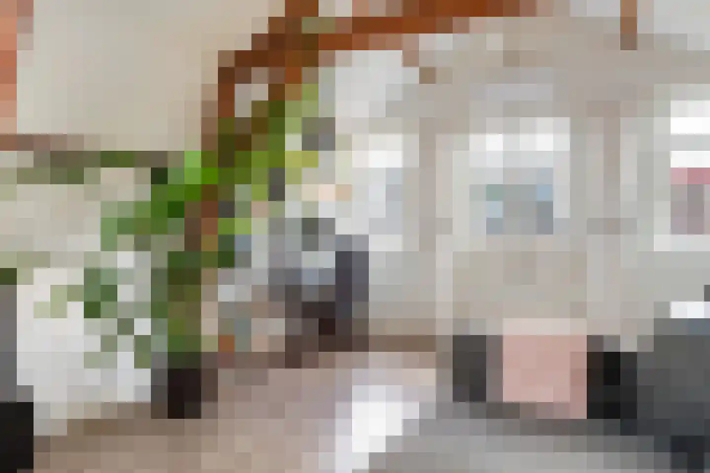 Zachariassteeg 3 Woerden thumbnail 15