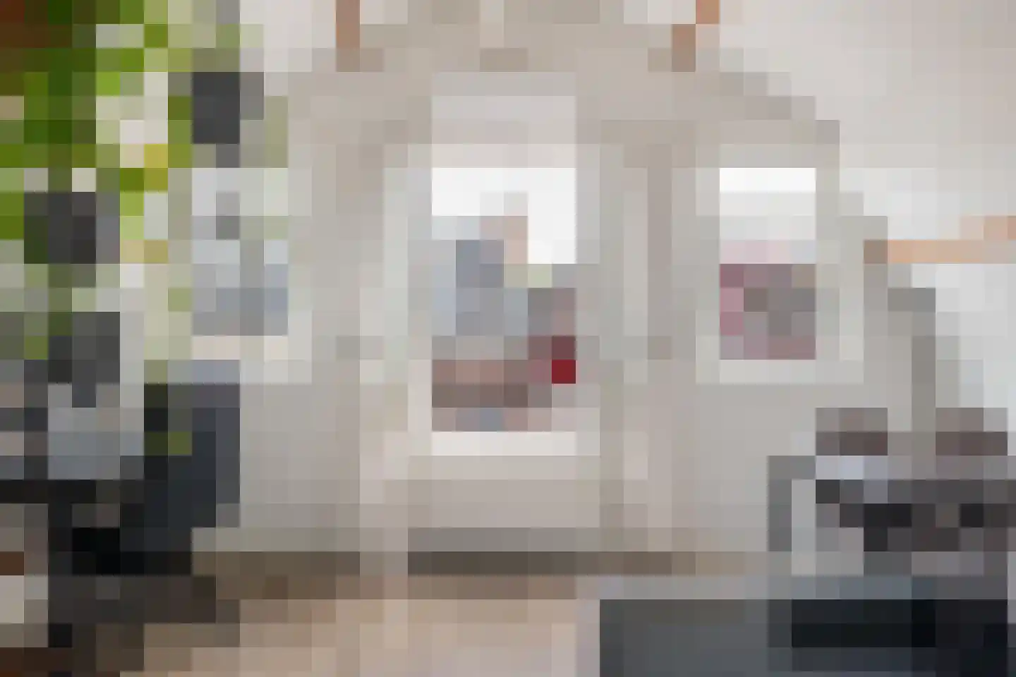Zachariassteeg 3 Woerden thumbnail 16