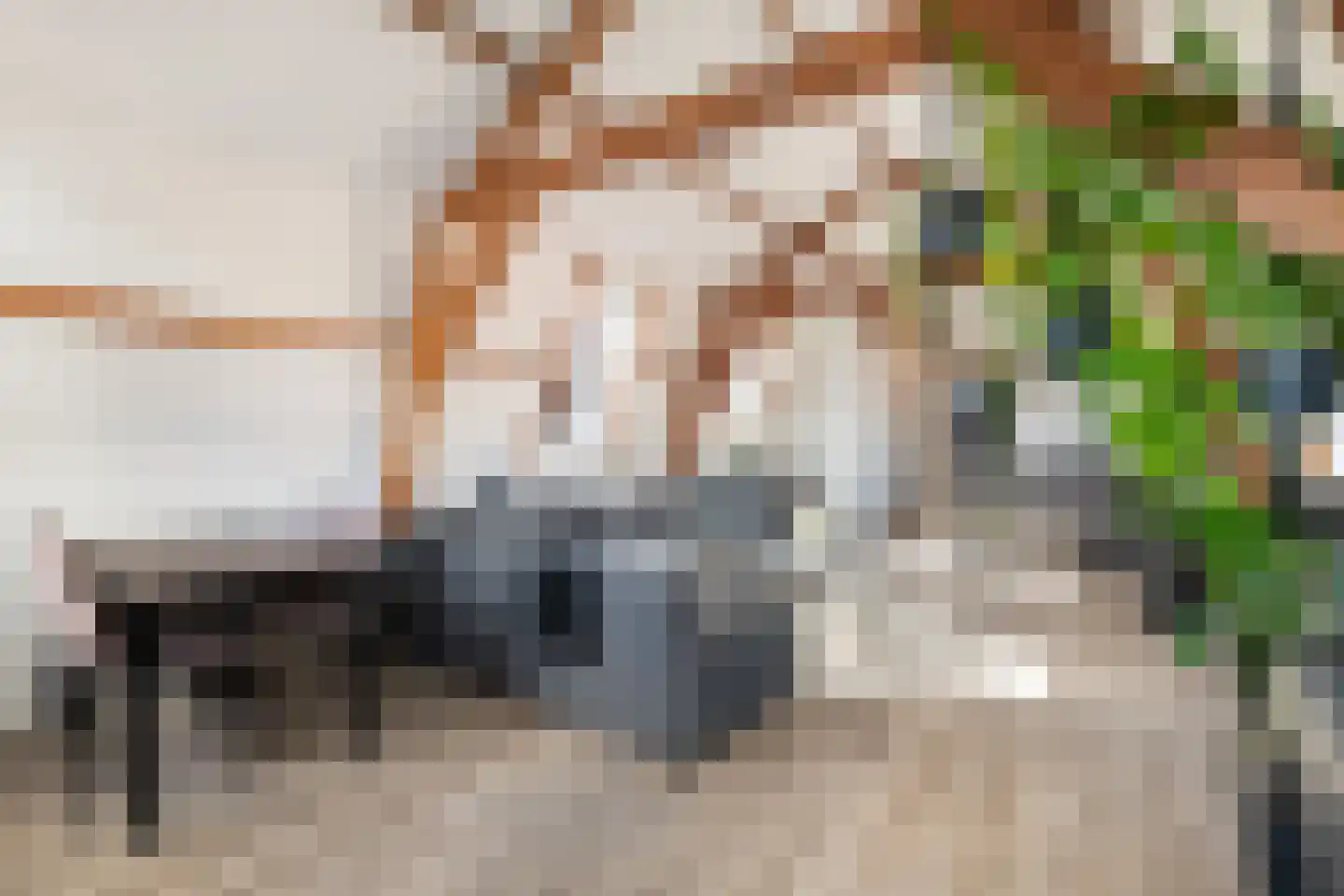 Zachariassteeg 3 Woerden thumbnail 18
