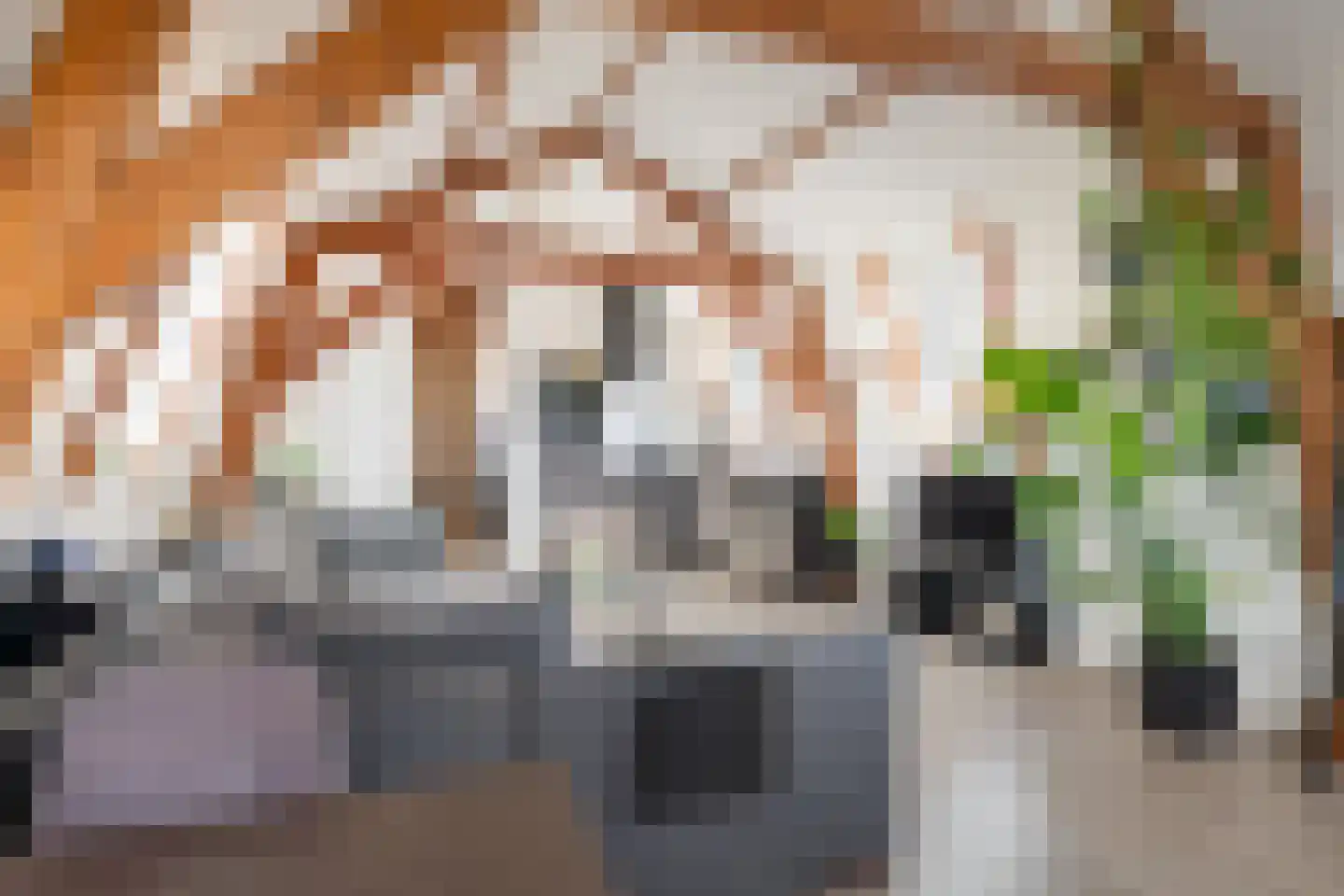 Zachariassteeg 3 Woerden thumbnail 19