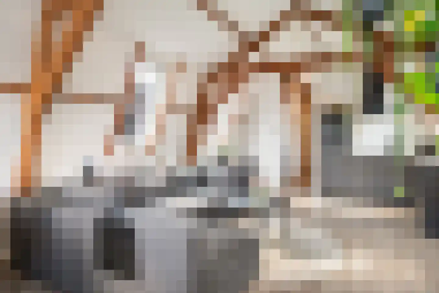 Zachariassteeg 3 Woerden thumbnail 20
