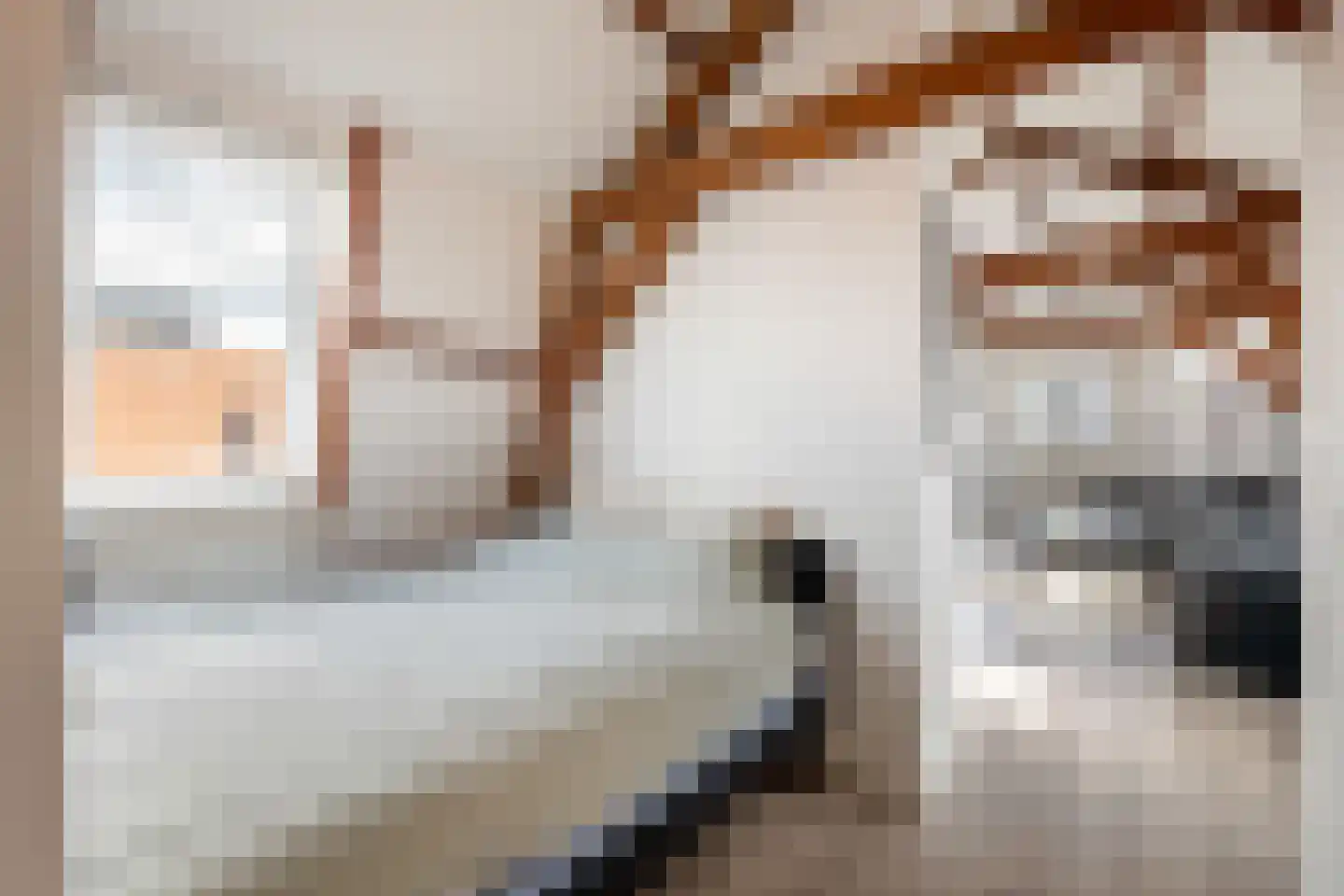 Zachariassteeg 3 Woerden thumbnail 29