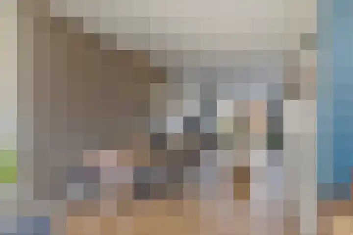 Zachte Dravik 25 Meppel thumbnail 12