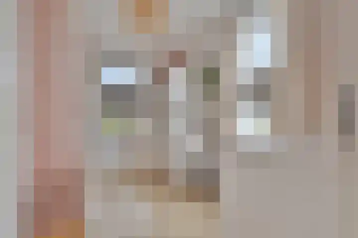 Zachte Dravik 25 Meppel thumbnail 27