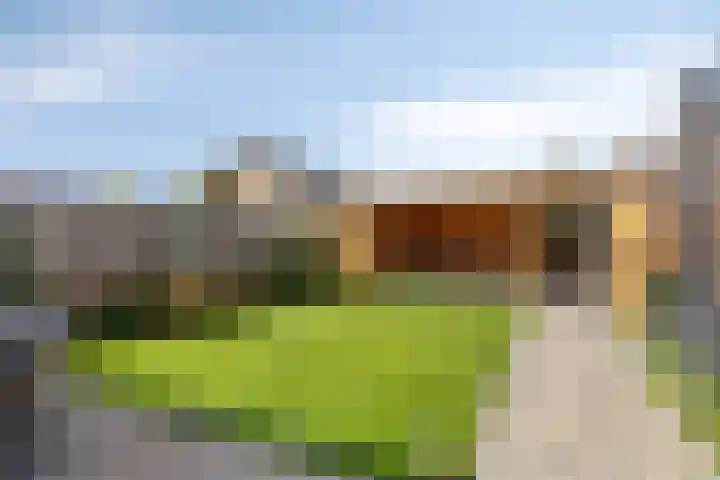 Zachte Dravik 25 Meppel thumbnail 38