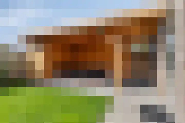 Zachte Dravik 25 Meppel thumbnail 39