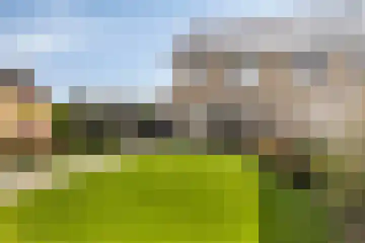 Zachte Dravik 25 Meppel thumbnail 4