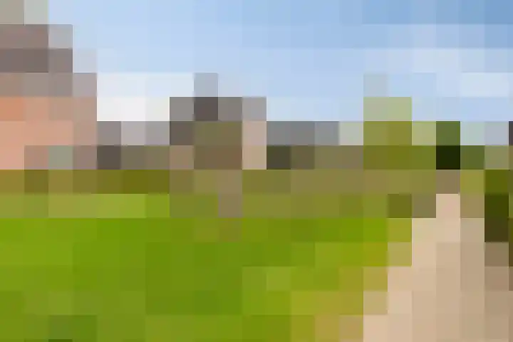 Zachte Dravik 25 Meppel thumbnail 41