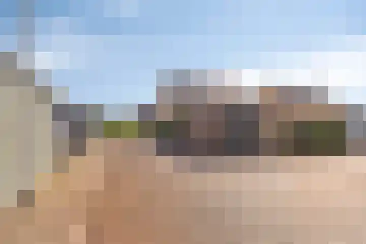 Zachte Dravik 25 Meppel thumbnail 5