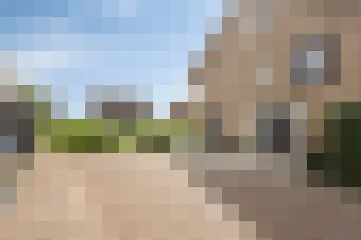Zachte Dravik 25 Meppel thumbnail 6