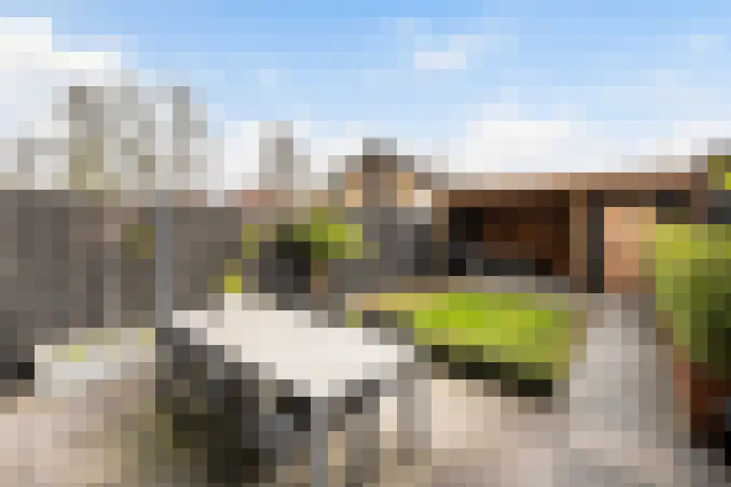 Zachte Dravik 28 Meppel thumbnail 13