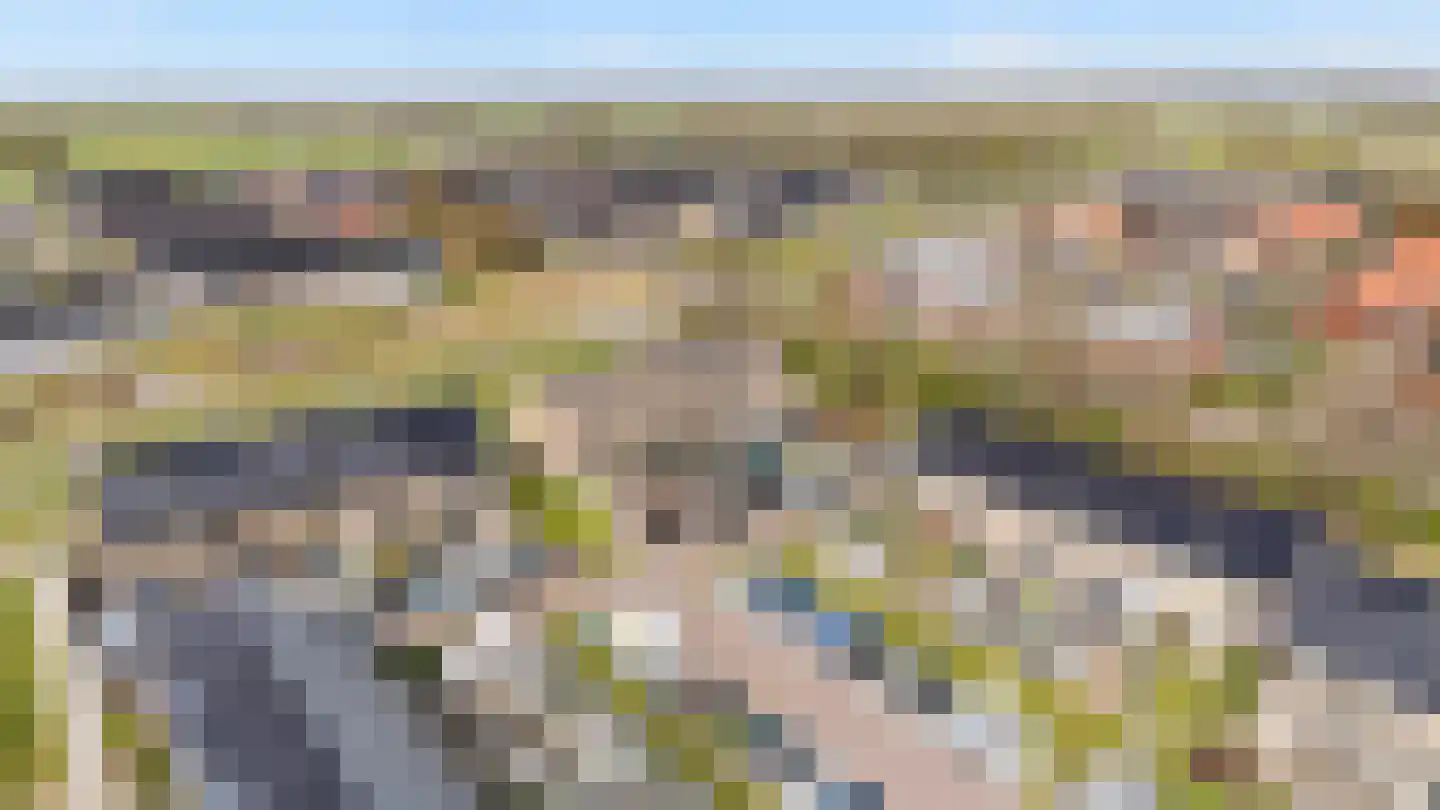Zachte Dravik 28 Meppel thumbnail 30
