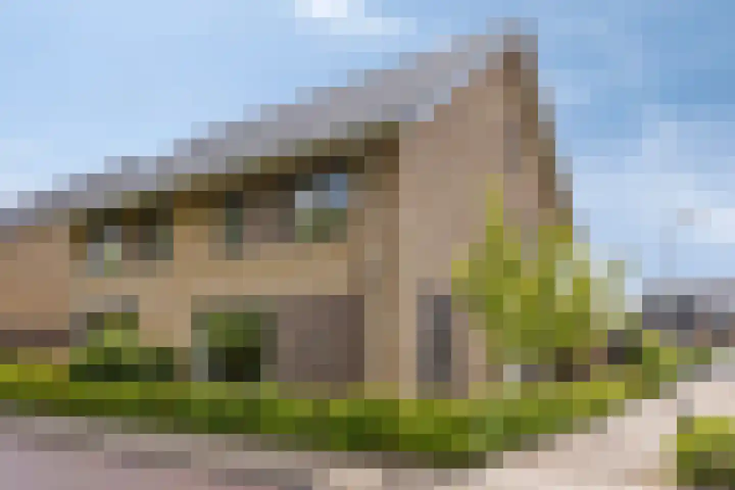 Zachte Dravik 37 Meppel