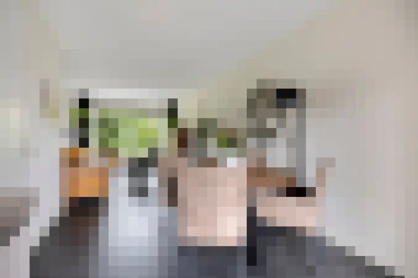 Zachte Dravik 37 Meppel thumbnail 10