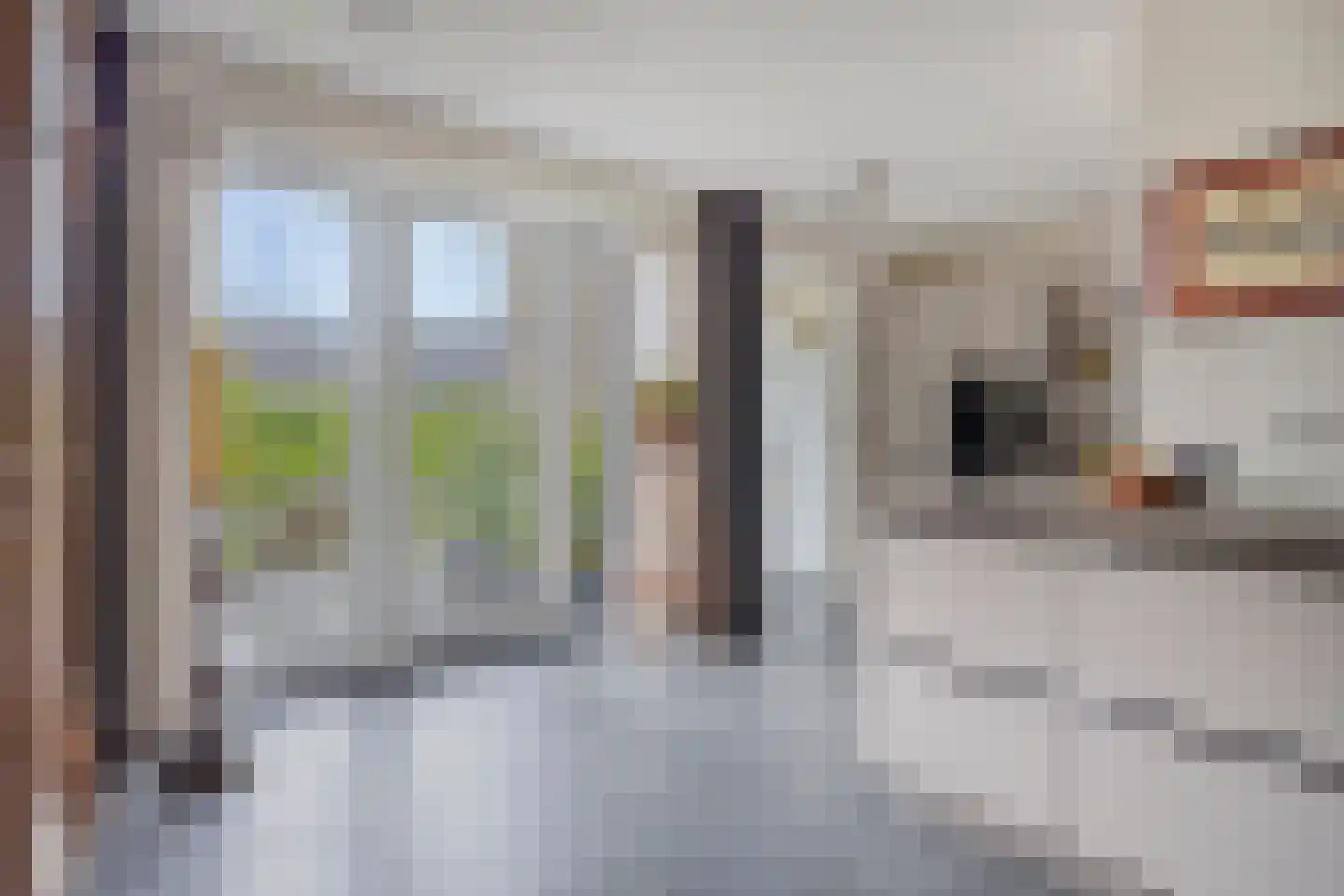 Zachte Dravik 37 Meppel thumbnail 13