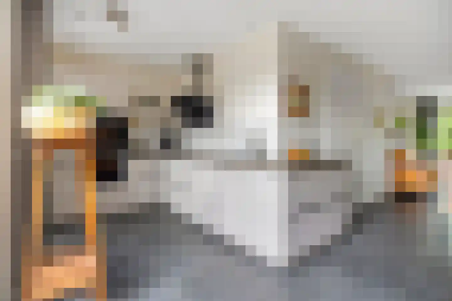Zachte Dravik 37 Meppel thumbnail 16