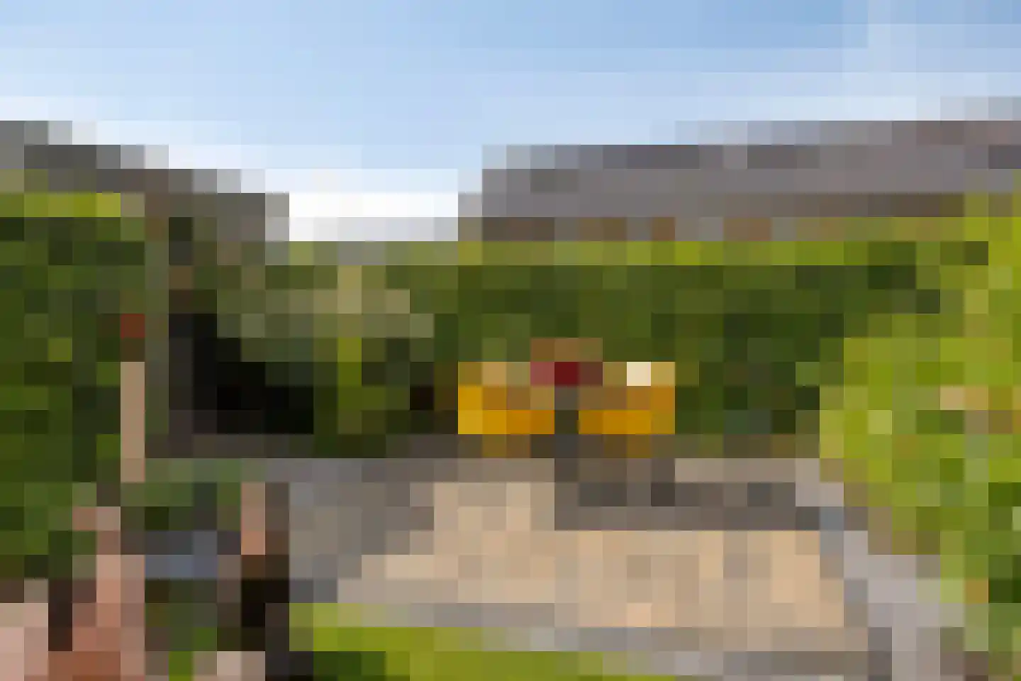 Zachte Dravik 37 Meppel thumbnail 33