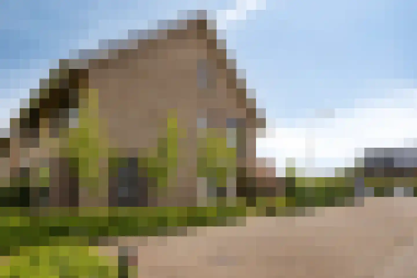 Zachte Dravik 37 Meppel thumbnail 39