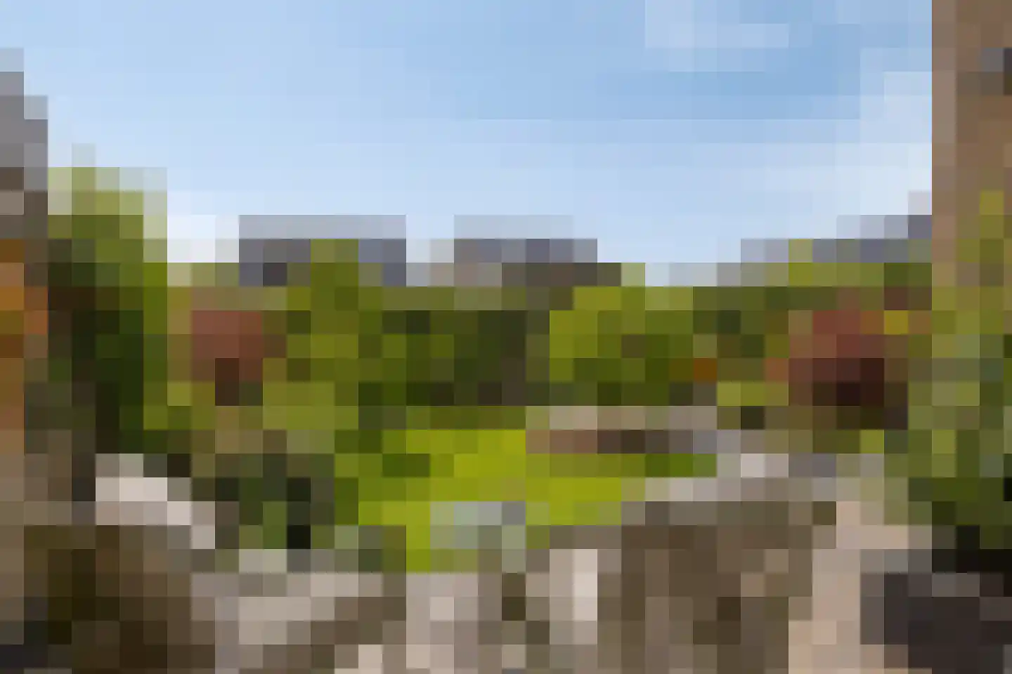 Zachte Dravik 37 Meppel thumbnail 4