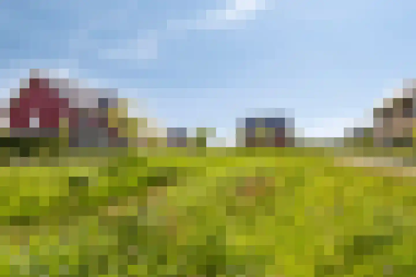 Zachte Dravik 37 Meppel thumbnail 42