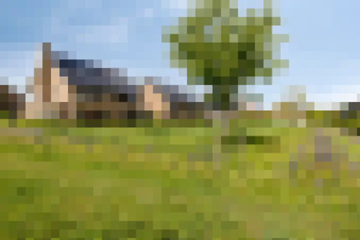 Zachte Dravik 37 Meppel thumbnail 43