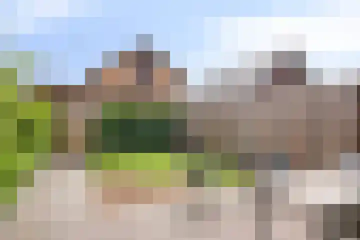 Zachte Dravik 38 Meppel thumbnail 26