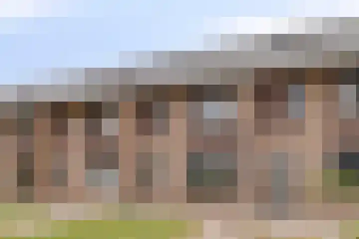Zachte Dravik 38 Meppel thumbnail 30