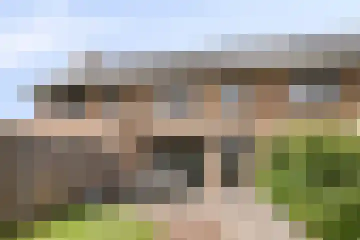 Zachte Dravik 38 Meppel thumbnail 4