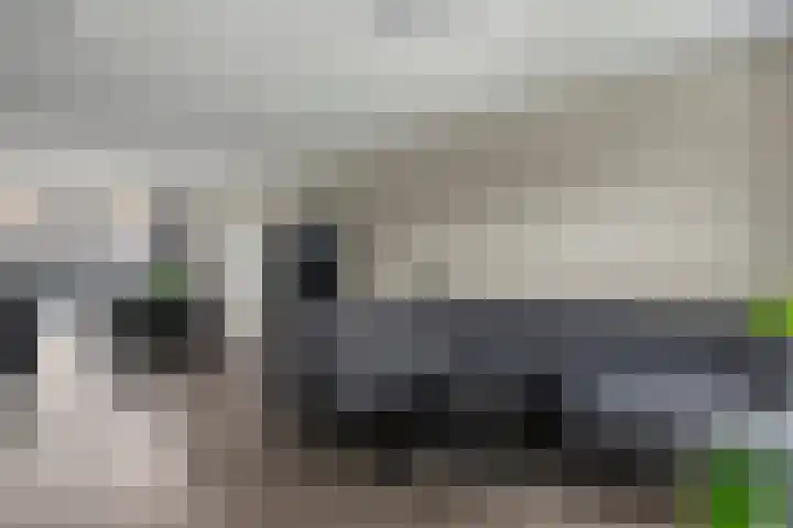 Zachte Dravik 38 Meppel thumbnail 5