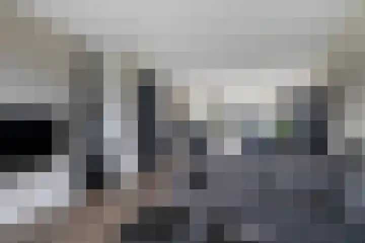Zachte Dravik 38 Meppel thumbnail 8