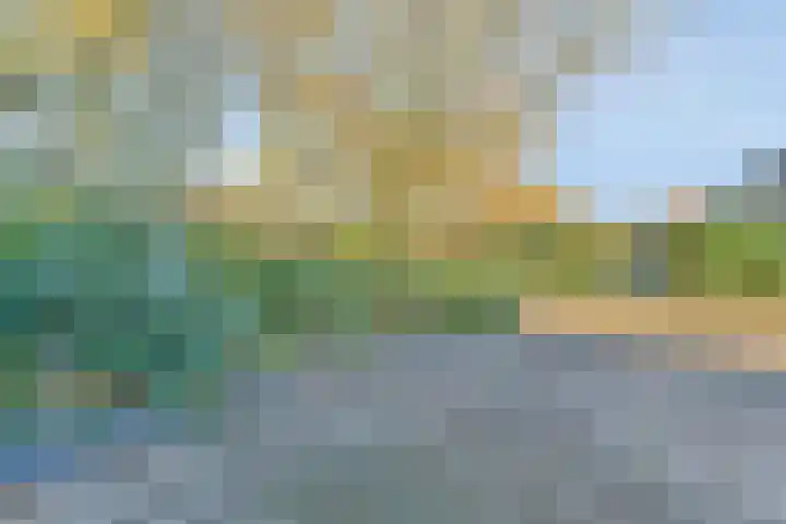 Zadel 11 Leusden thumbnail 28