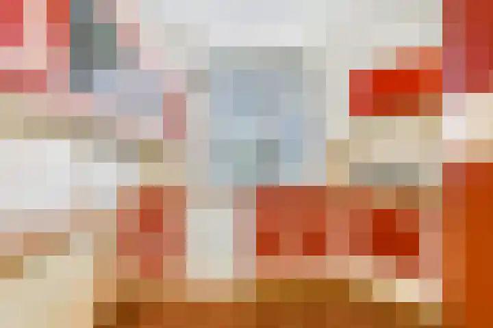 Zadel 11 Leusden thumbnail 6