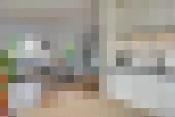 Zadel 9 Leusden thumbnail 12
