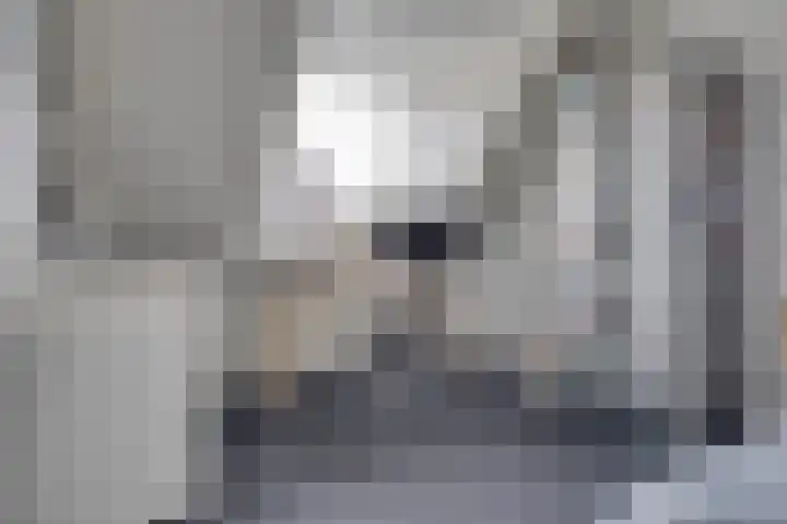 Zadel 9 Leusden thumbnail 15