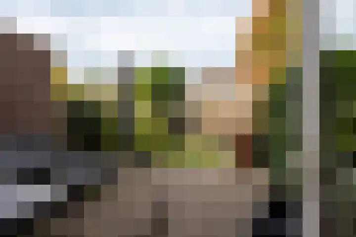 Zadel 9 Leusden thumbnail 22