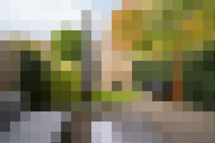 Zadel 9 Leusden thumbnail 23