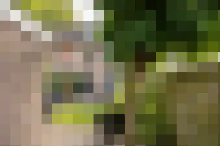 Zadel 9 Leusden thumbnail 24