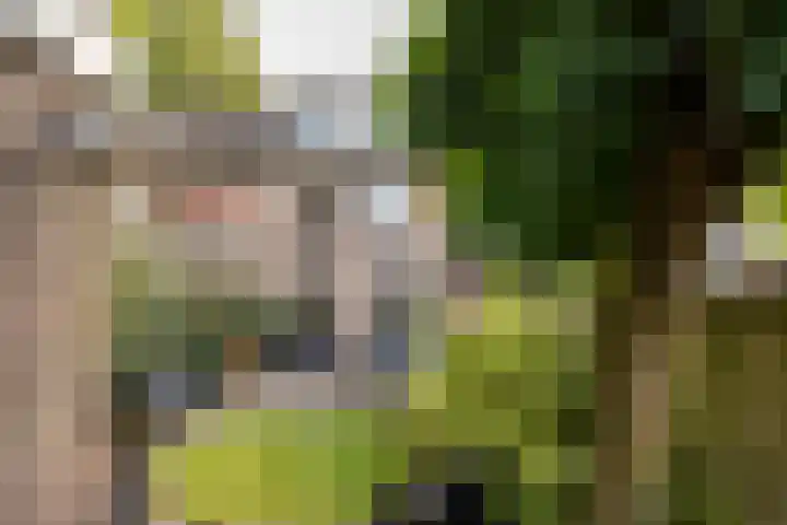 Zadel 9 Leusden thumbnail 25