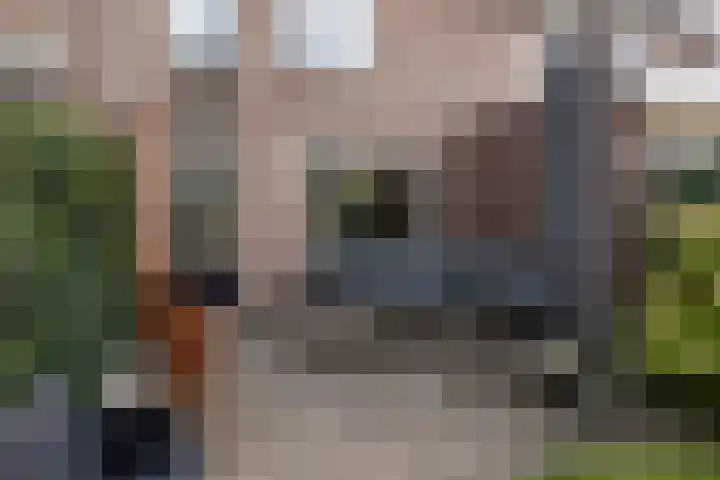 Zadel 9 Leusden thumbnail 26