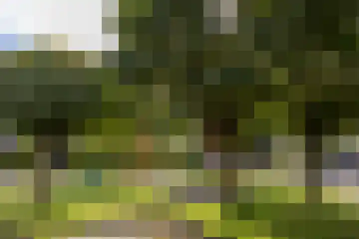 Zadel 9 Leusden thumbnail 27