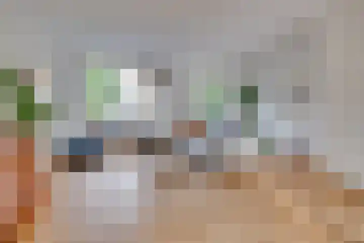 Zadel 9 Leusden thumbnail 7