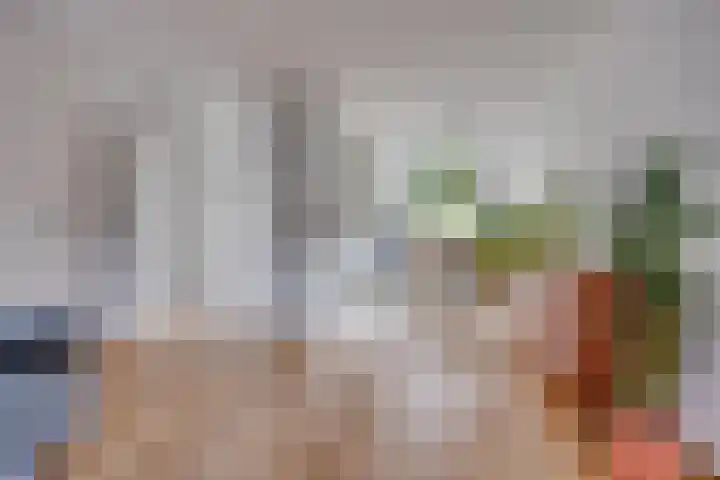 Zadel 9 Leusden thumbnail 8