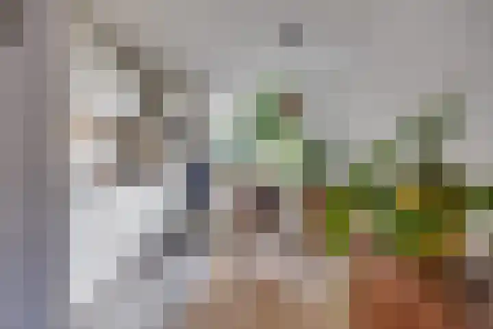 Zadel 9 Leusden thumbnail 9