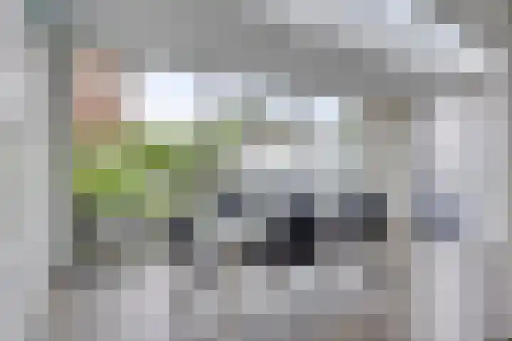 Zadelmaker 11 IJsselstein thumbnail 12