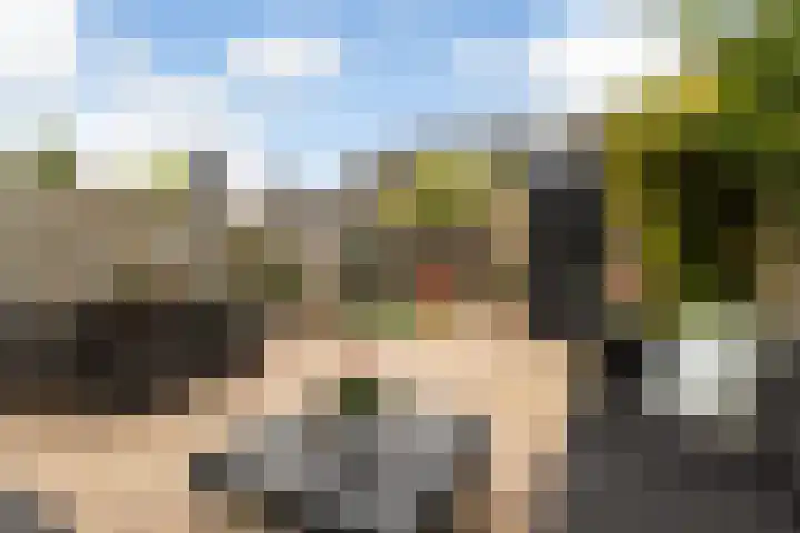 Zadelmaker 11 IJsselstein thumbnail 21
